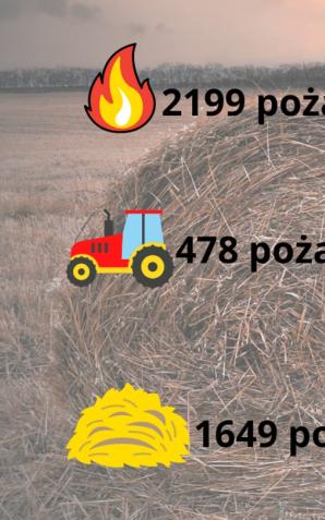Niebezpieczne pożary upraw rolnych